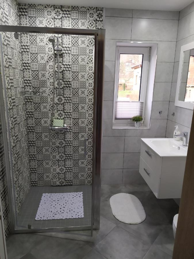Apartament Kaola Jelenia Góra Екстериор снимка