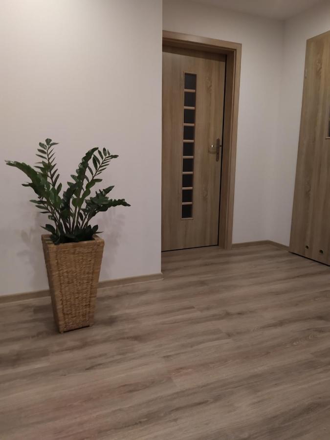Apartament Kaola Jelenia Góra Екстериор снимка